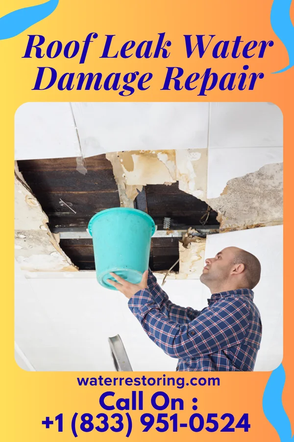 Roof Leak Water Damage Repair in Lake Orion, MI