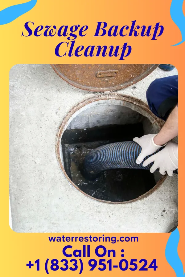 Sewage Backup Cleanup in Lake Orion, MI